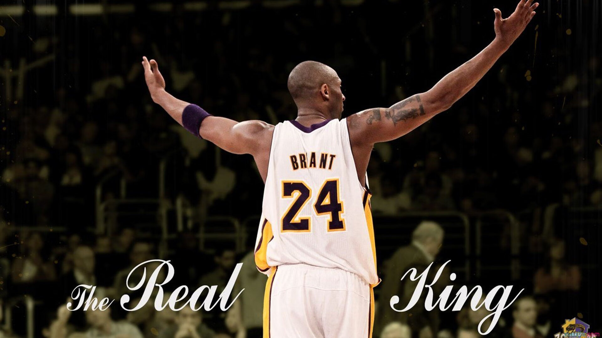 社区瑜伽活动受欢迎，居民积极参与，社区瑜伽活动名称